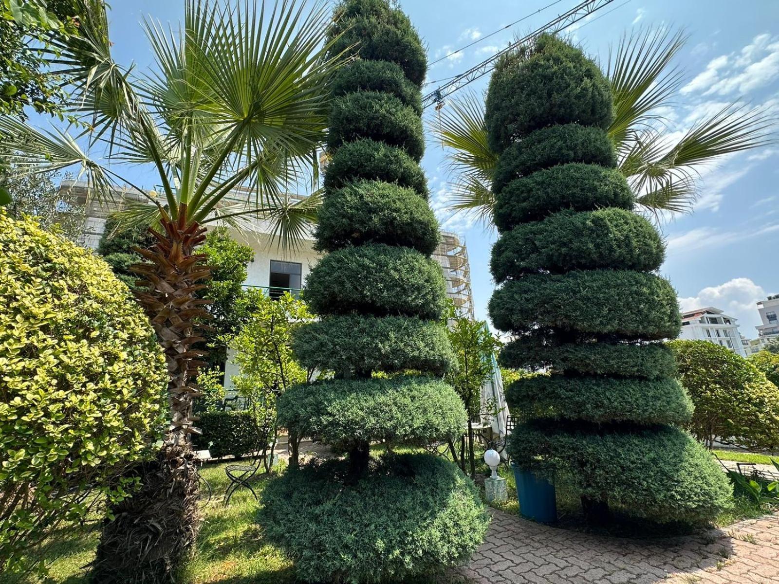 A-Vila Golem  Ngoại thất bức ảnh